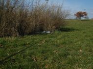 z_gl_abi_SN201166.jpg